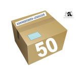 Halbes Paket (für bis zu 50 Teilnehmer)